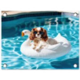 Spaniel - Zonnebril - Zwemband - Zwemband tuinposter los doek klein -3d