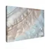 Schelpen - Abstract - Natuur Tuinposter op houten frame 2 cm dik klein -3d