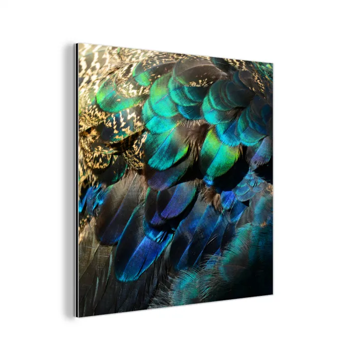 Veren - Pauwveren - Pauw - Blauw - Kunst aluminium wit klein -3d