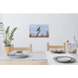 Roodborsttapuit - Heide - Paars - Natuur - Sfeervol Muursticker klein -eettafel
