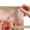 Orchidee - Bloemen - Roze - Bloemblaadjes Light Box met batterij (Wandlamp) middel -USP_websiteprintNL