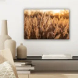 Rietpluimen - Gras - Zonsondergang - Goud - Serene canvas 2cm klein -sfeer6
