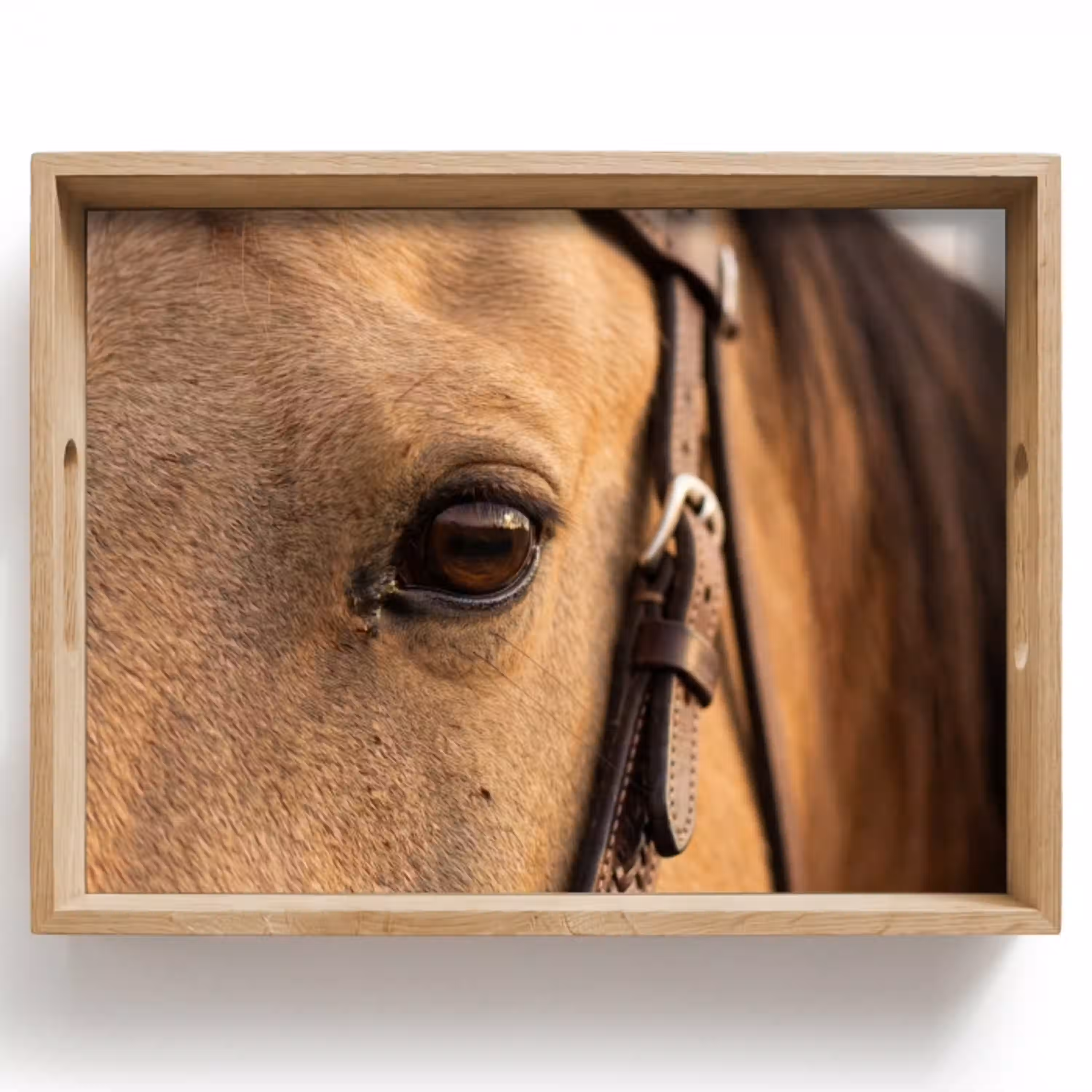 Paard - Oog - Bruin Dienblad Rechthoek middel -z3d_shopping