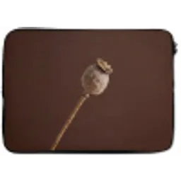 Papaverbol - Droogbloem - Bruin - Minimalistisch laptophoes neopreen klein -zkaufland3dotto