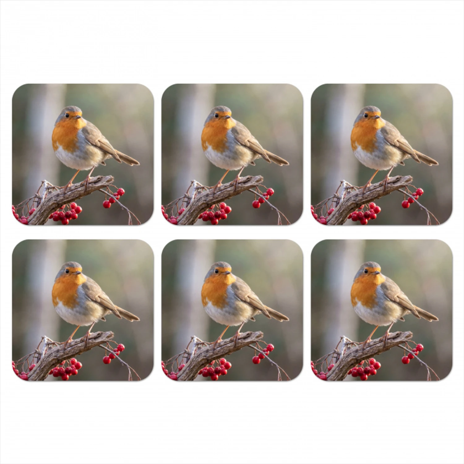Roodborst - Tak - Bessen - Natuur onderzetter kurk middel -3d