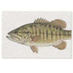 Vissen - Natuur - Vintage Deurmat klein -zkaufland3d