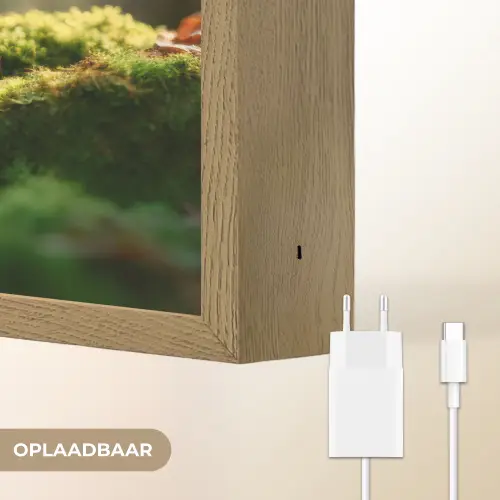 Eekhoorn - Nootje - Gras Light Box met batterij (Wandlamp) middel -USP_websiteoplaadbaarNL