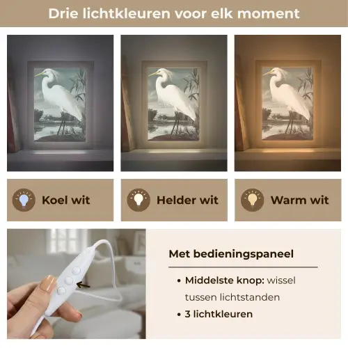 Reiger - Planten - Wolken - Wit Light Box met kabel (Tafellamp) klein -USP_lichtkleurNL