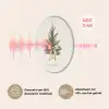 Kerstboom - Kerst - Merry Christmas - Beige Akoestische PET Vilt - Rond klein -USP_NL