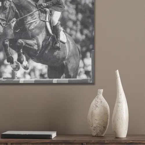 Springen - Paard - Zwart - Wit PET vilt klein -sfeer6_closeup