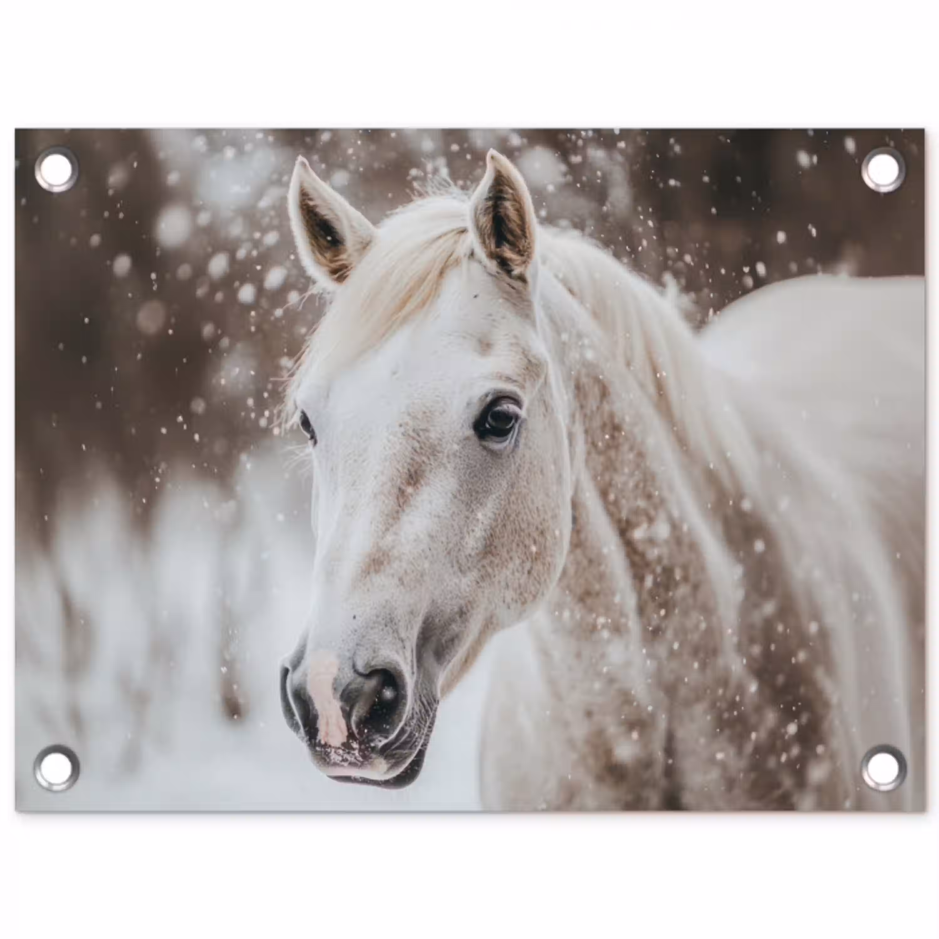 Paard - Wit - Winter - Natuur - Sneeuw - Dieren tuinposter los doek klein -3d