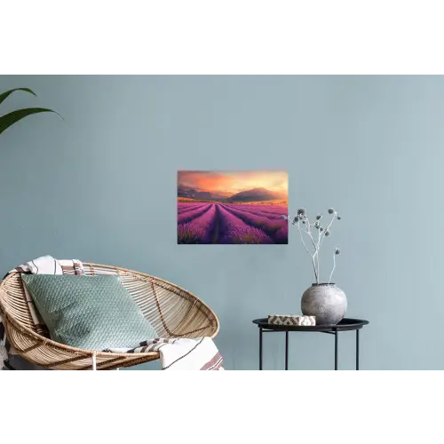 Lavendelveld - Zonsondergang - Paars Muursticker klein -plant