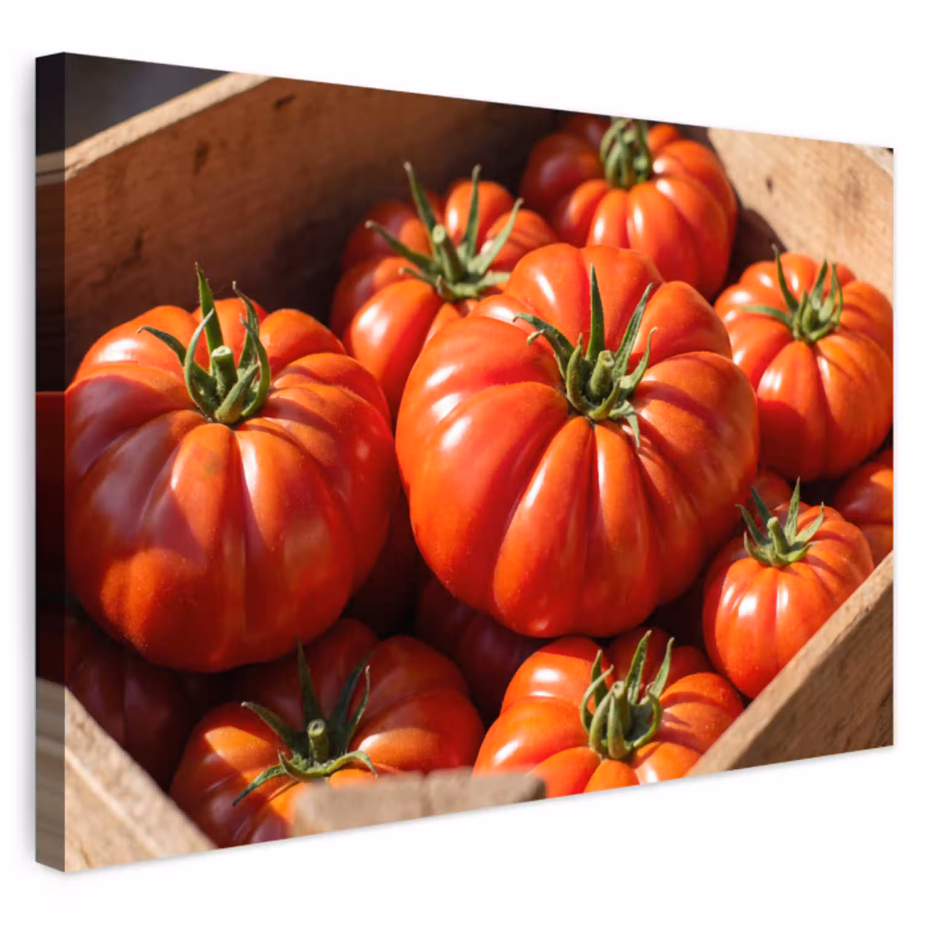 Tomaat - Houten - Kist Tuinposter op houten frame 2 cm dik klein -3d