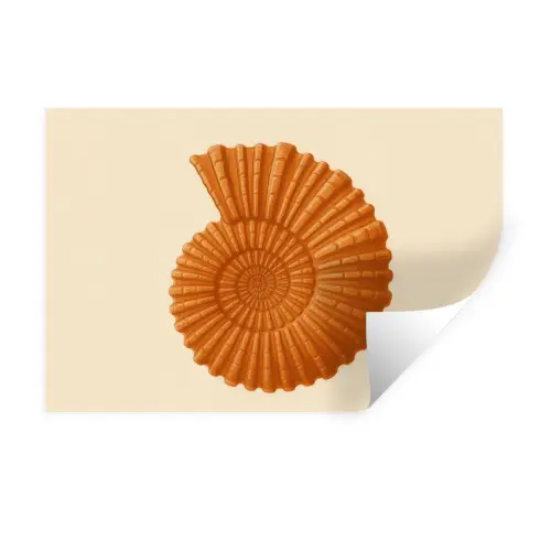 Schelp - Oranje - Ribbels Muursticker klein -3d