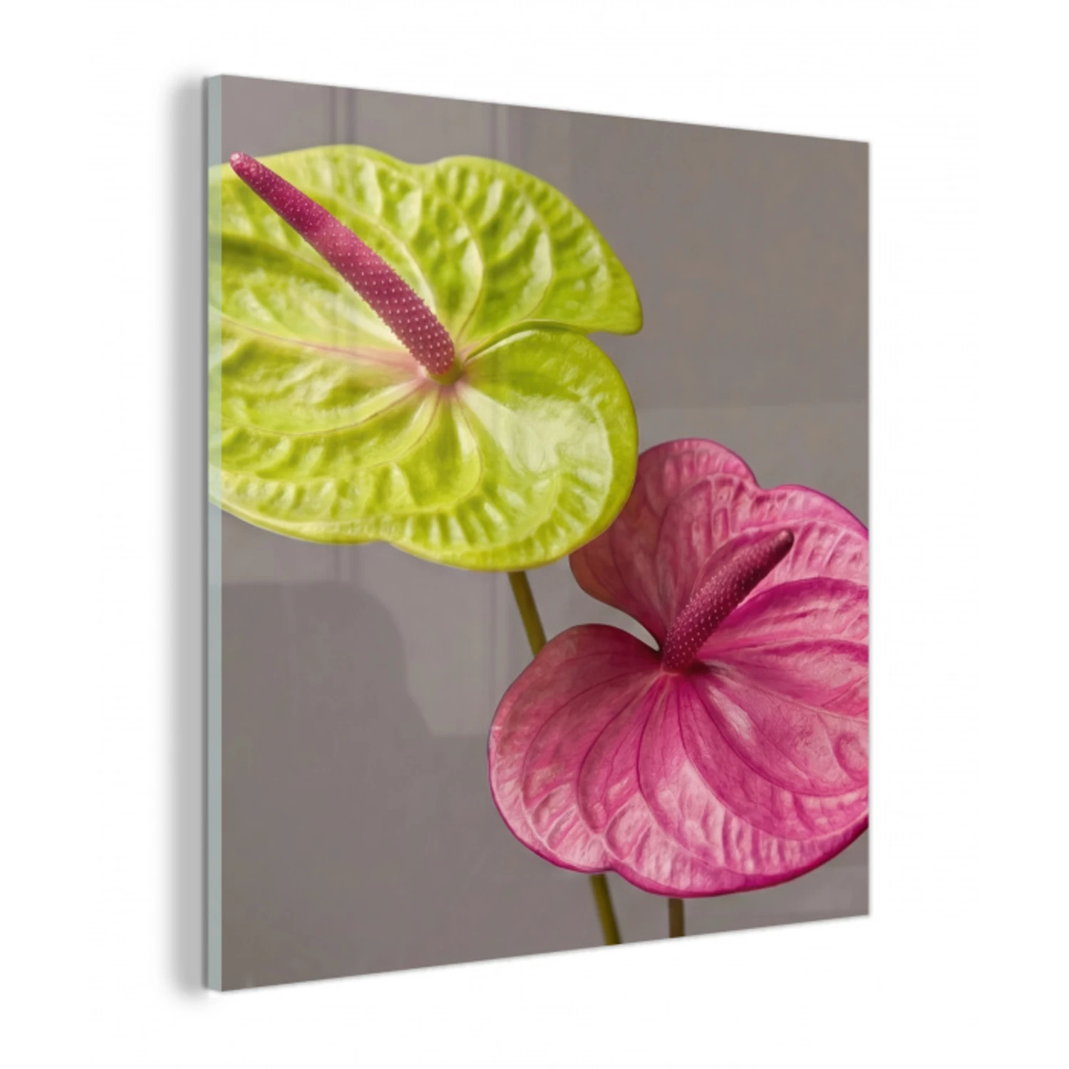 Planten - Anthurium - Groen - Roze plexiglas 5mm klein -z3d