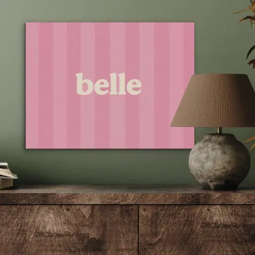 Roze - Gestreept - Belle PET vilt klein -sfeer2