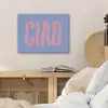 Ciao - Roze - Blauw - Golvend PET vilt klein -sfeer3