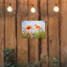 Klaprozen en korenbloemen in zomers licht tuinposter los doek klein -sfeer1