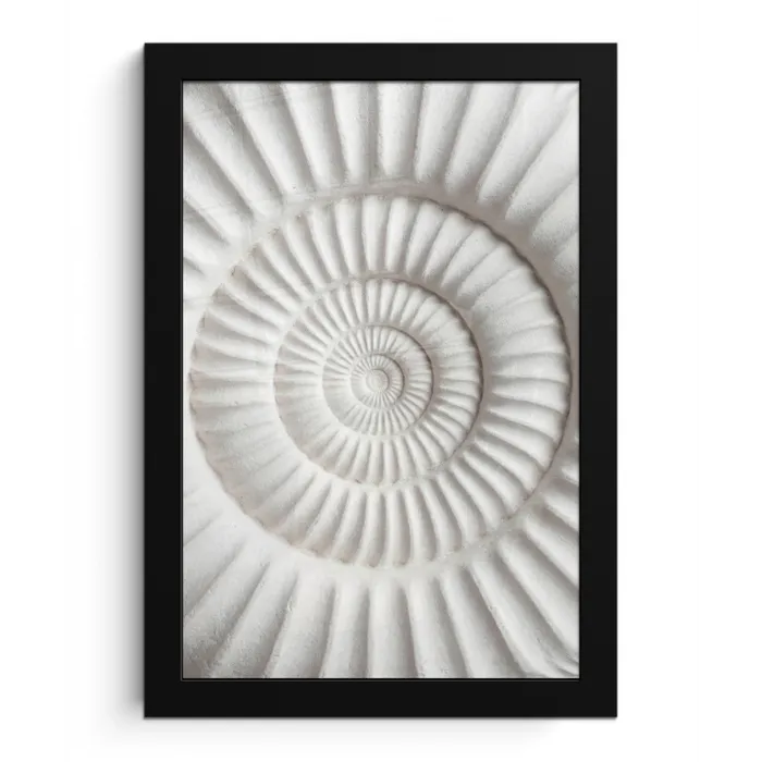 Schelp - Spiraal - Wit fotolijst zwart zonder passe partout klein -3d