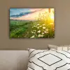Bloemen - Madelief - Natuur - Zon - Horizon canvas 2cm klein -sfeer3
