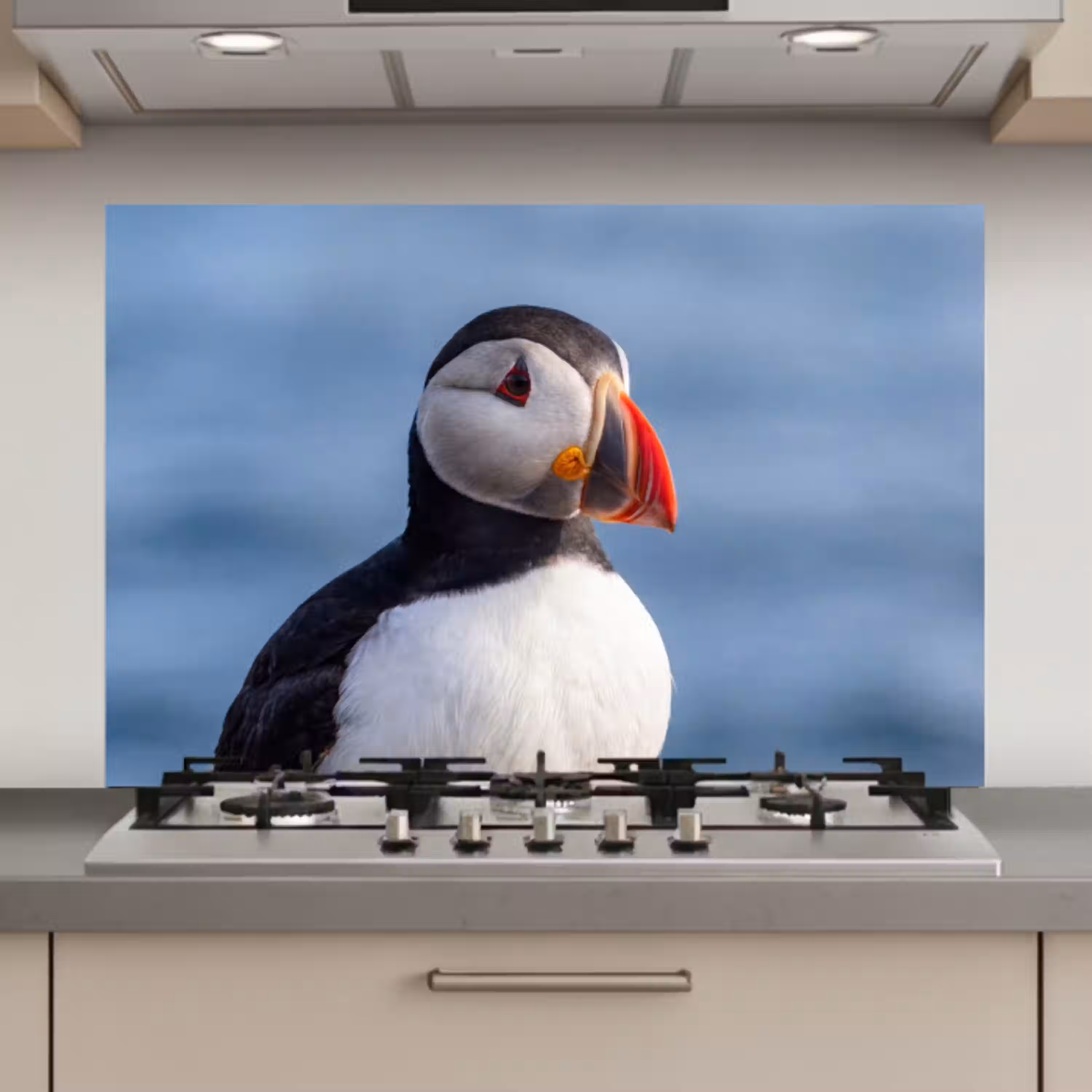 Papegaaiduiker - Portret - Natuur keuken achterwand spatscherm klein -3d_website