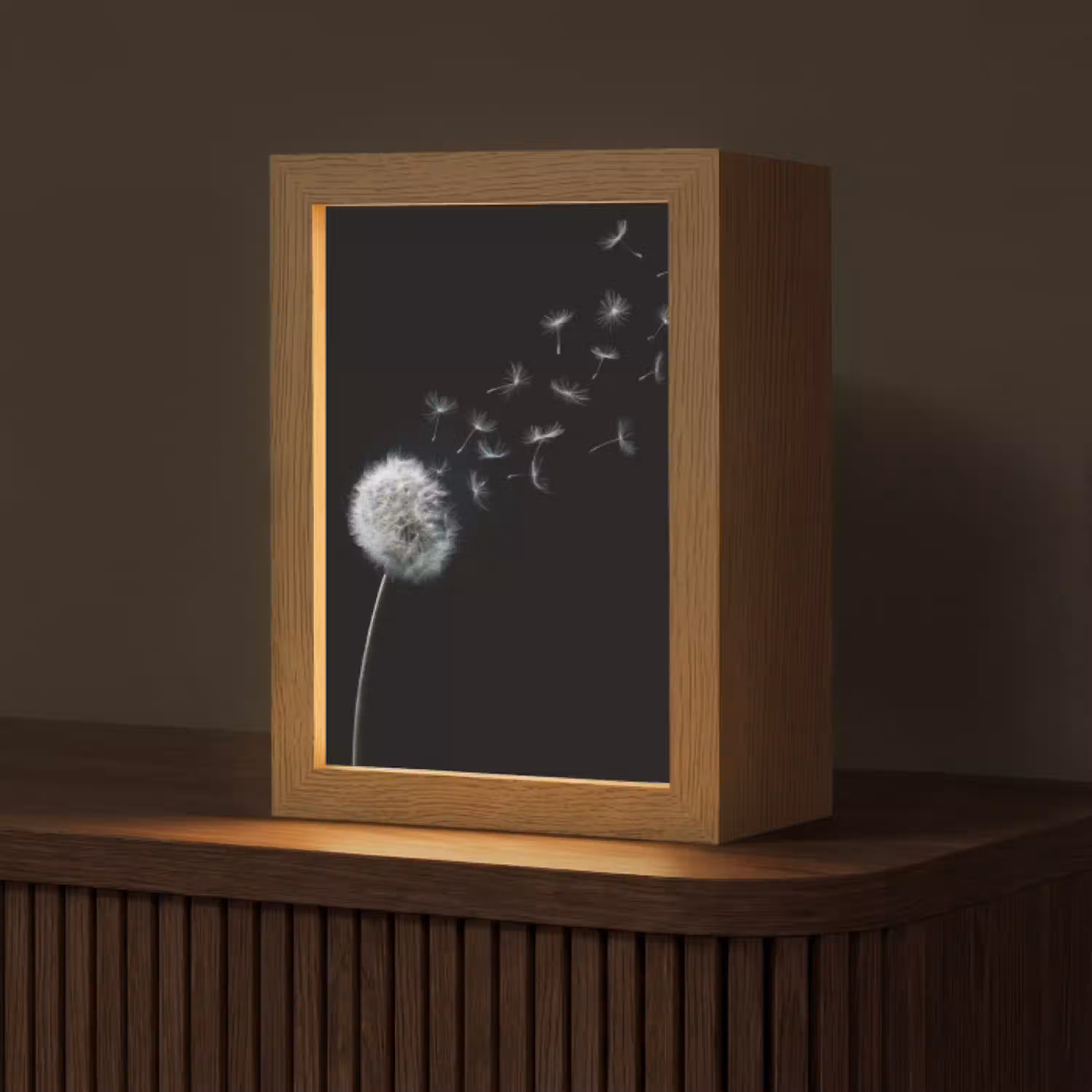 Paardenbloem - Zwart - Natuur Light Box met kabel (Tafellamp) klein -z3d_website
