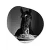 Paard - Bord - Pasta - Tafelkleed - Zwart Wit - Dieren Wandcirkel Organisch Plexiglas middel -3d