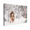 Wolf - Winter - Sneeuw - Natuur - Dieren Tuinposter op houten frame 2 cm dik klein -3d