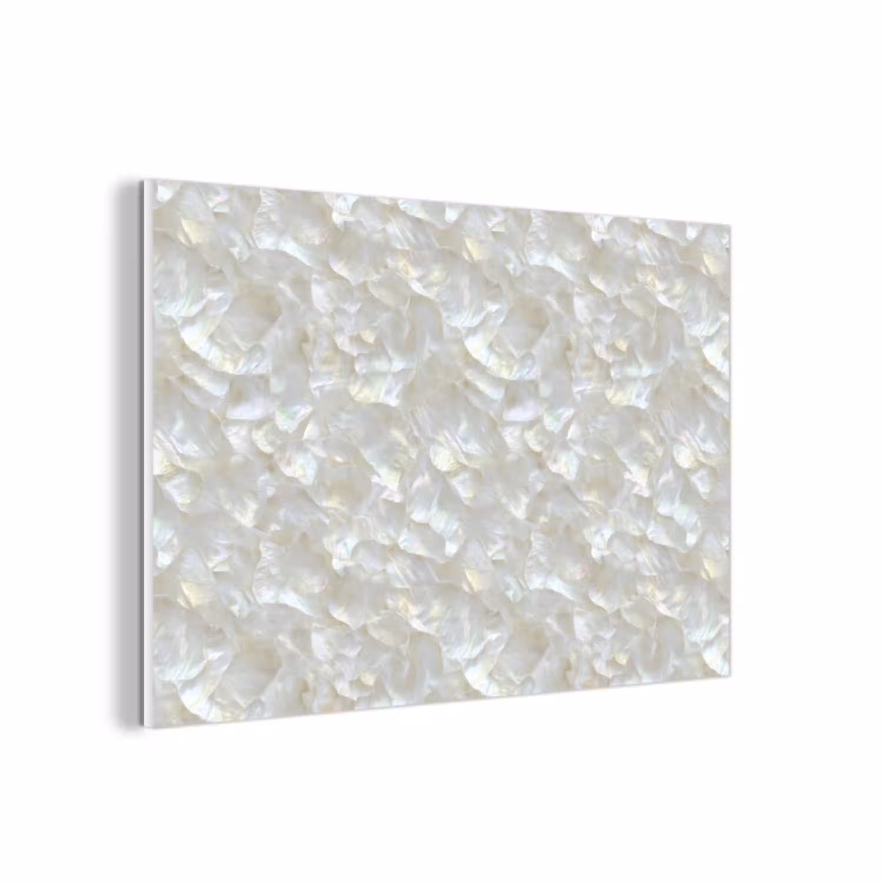 Parelmoerglans - Wit - Schelp forex 5mm xxl 6 -3d