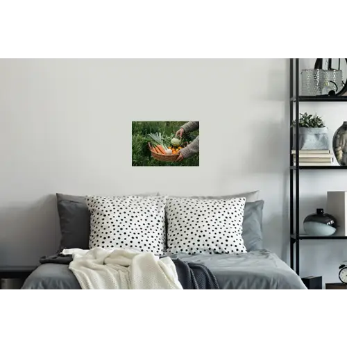 Veld - Groenten - Biologisch - Oogst Muursticker klein -slaapkamer