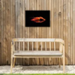 Kreeft - Oranje - Zwart - Opvallend Tuinposter op houten frame 2 cm dik klein -sfeer4