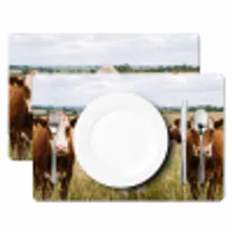 Koeien - Portret - Weide - Boerderij - Nieuwsgierig Placemat vinyl groot -zzsfeer2_Kitchenyeah-website