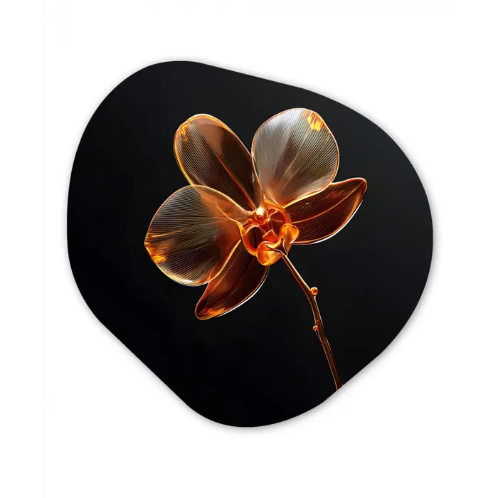 Orchidee - Doorzichtig - Bloem Wandcirkel Organisch Forex 3mm klein -3d