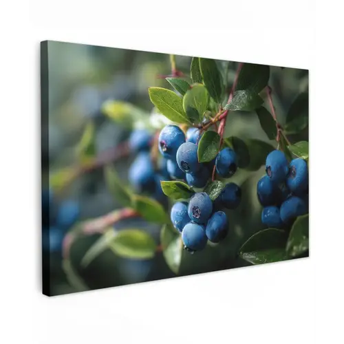 Blauwe bessen - Dauwdruppels - Natuurlijk licht canvas 2cm klein -z3d