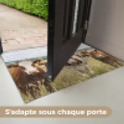 Koeien - Portret - Weide - Boerderij - Nieuwsgierig Deurmat klein -USP_FR