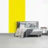 Geel - Citroen - Neon - Kleuren fotobehang vinyl groot 64 -slaapkamer