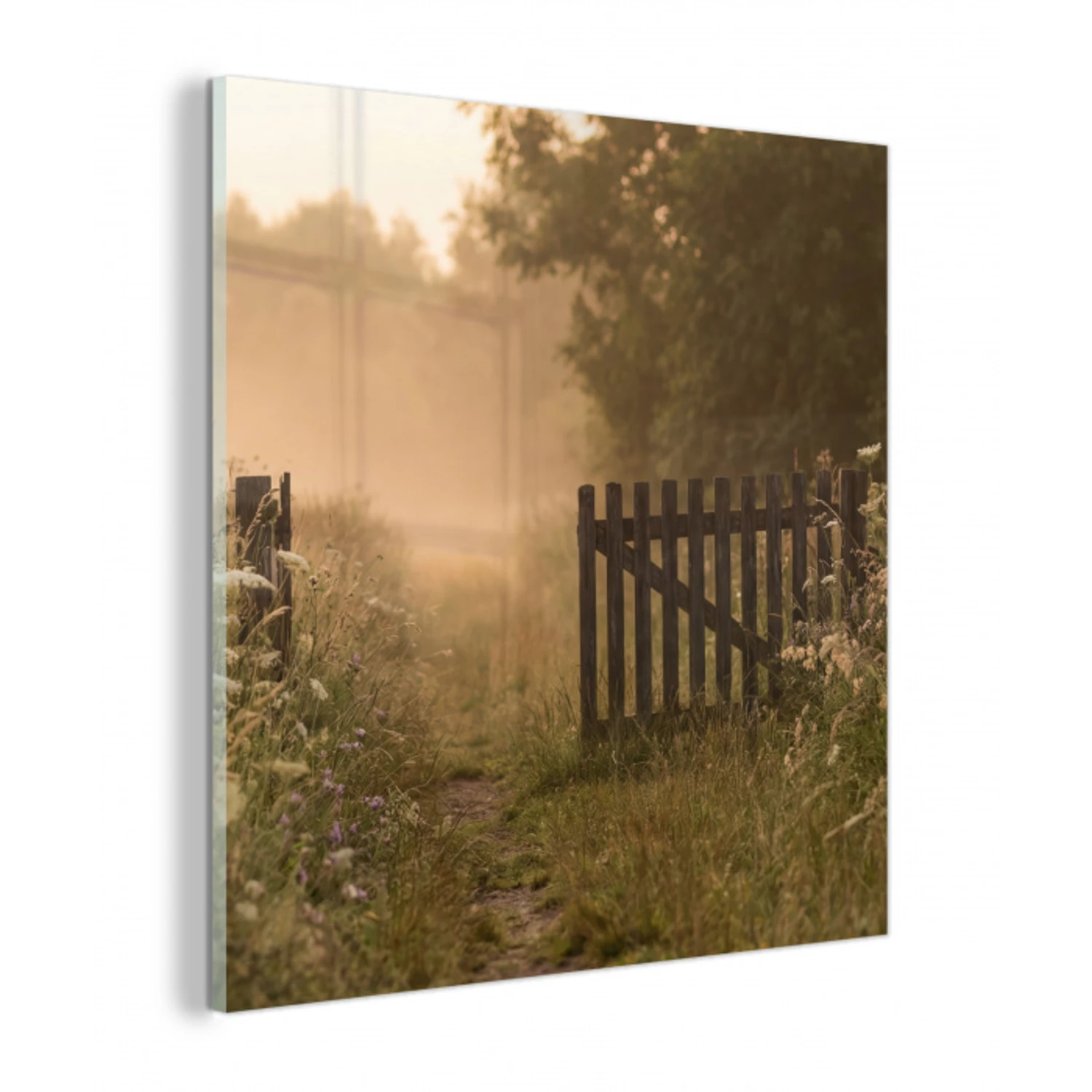 Hek - Natuur - Mist - Veld plexiglas 5mm klein -z3d