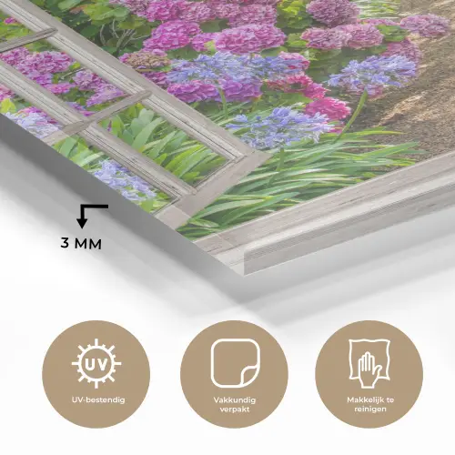 Hortensia - Doorkijk - Bloemen - Zomer - Paars - Pad plexiglas 5mm klein -sfeer2