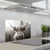 Schotse hooglander - Koe - Dieren - Zwart - Wit keuken achterwand spatscherm klein -3d_schuin