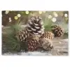 Dennenappels - Kerstsfeer - Bruin - Groen Deurmat klein -zkaufland3d