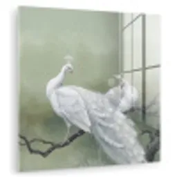 Pauwen - Wit - Natuur - Groen plexiglas 5mm klein -zzzproduct_nieuw