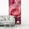 Roze - Roos - Romantisch fotobehang vinyl groot -woonkamer
