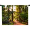 Bos - Pad - Bomen - Groen - Zon - Natuur Wandkleed katoen klein -zz3d