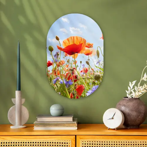 Bloemen - Klaproos - Lente - Natuur - Rood - Blauw Wandcirkel Ovaal Forex klein -sfeer2