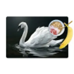 Zwaan - Water - Natuur - Realistisch - Wit Placemat vinyl groot -zzzproduct_Kitchenyeah-website