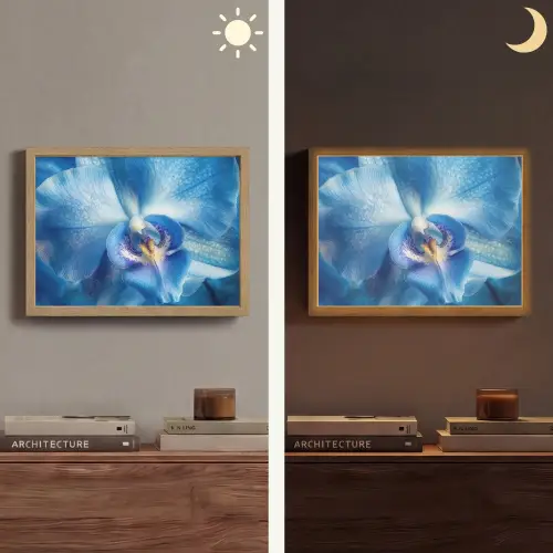 Blauw - Orchidee - Elegeant Light Box met batterij (Wandlamp) middel -sfeer3