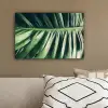 Palmblad - Tropisch - Natuur - Jungle canvas 2cm klein -sfeer3