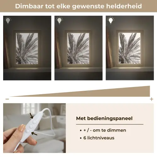 Palmboom - Tropisch - Zwart - Wit Light Box met kabel (Tafellamp) klein -USP_dimbaarNL