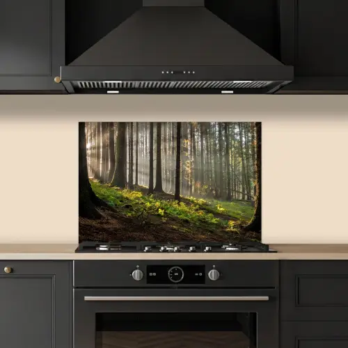 Zon - Takken - Bomen - Bos - Natuur keuken achterwand spatscherm klein -sfeer1