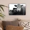 Koeien - Zwart - Wit canvas 2cm klein -sfeer1
